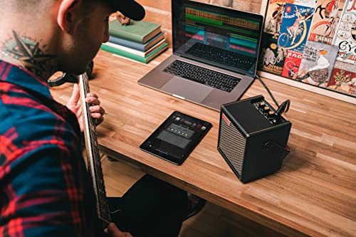Positive Grid Spark MINI Portable