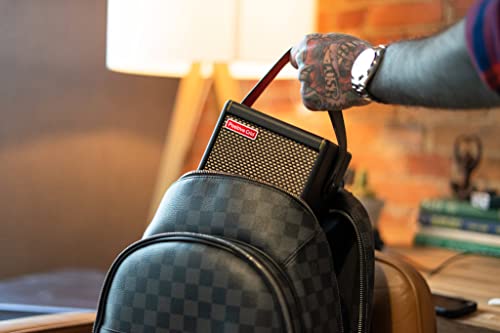 Positive Grid Spark MINI Portable