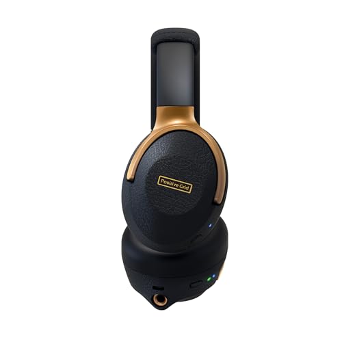 Positive Grid Spark NEO Wireless