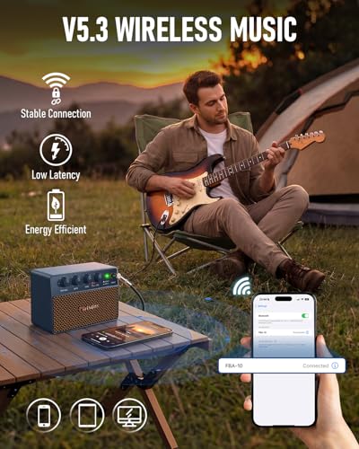 FBA-10 Guitar Amp Blue - Image 6