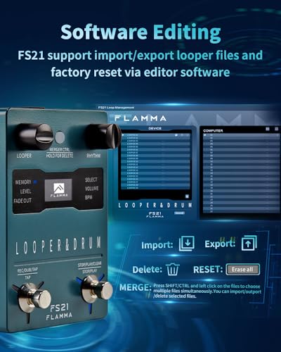 FLAMMA FS21 Stereo Guitar Looper