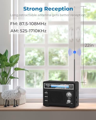 PRUNUS J-136 Portable AM FM