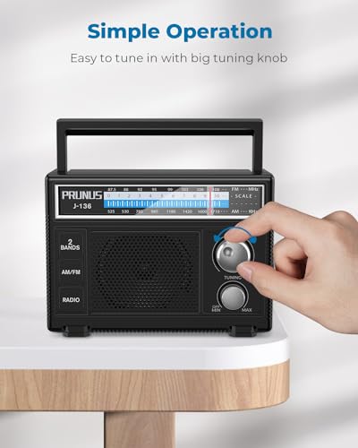 PRUNUS J-136 Portable AM FM