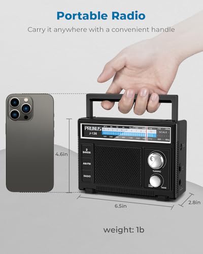 PRUNUS J-136 Portable AM FM