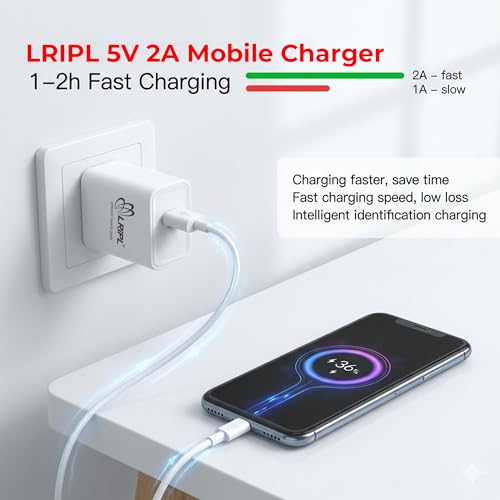 LRIPL USB Charger 5V 2A