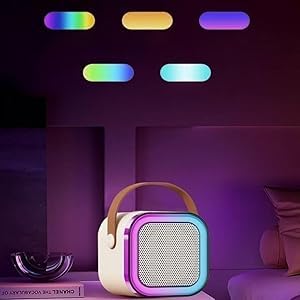 PerfX Wireless Karaoke Speaker