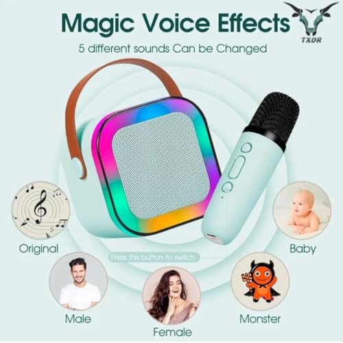 PerfX Wireless Karaoke Speaker