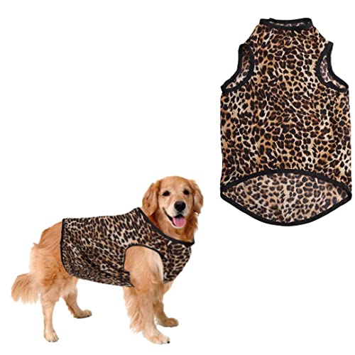 Sage Square Crazy Printed Dog