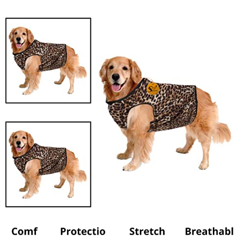 Sage Square Crazy Printed Dog