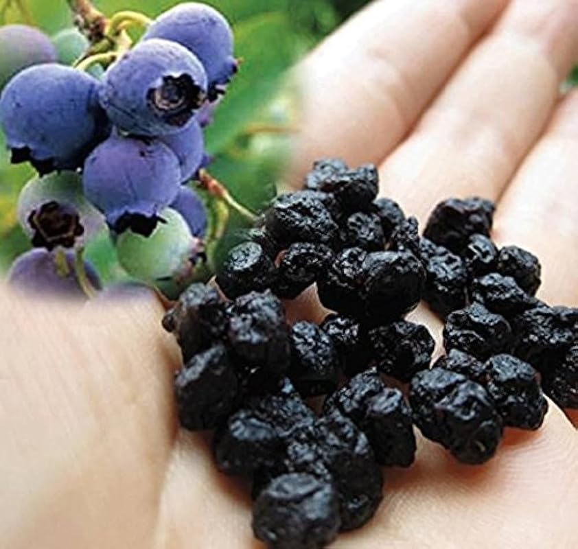FROZEN NUTS Premium Dried Blueberries