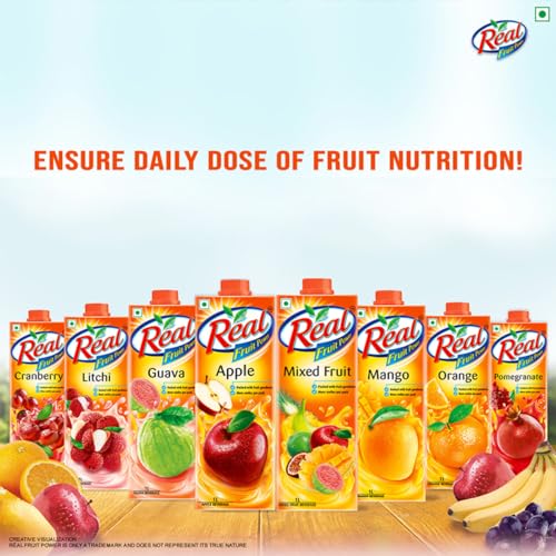 Real Fruit Power Real Masala Mixed Fruit 1L, 1 kg - Image 5