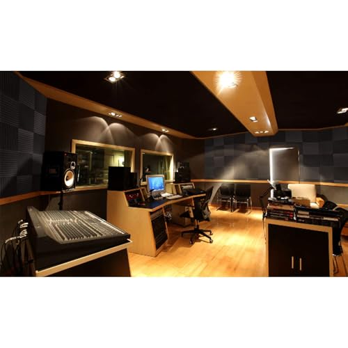 Focusound Acoustic Foam Panels, 1