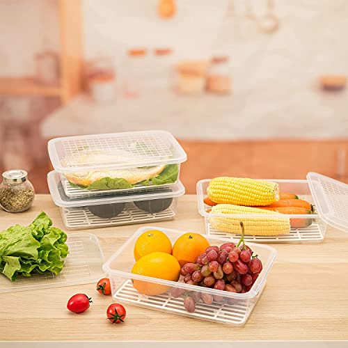 Claiez Fridge Storage Boxes Fridge