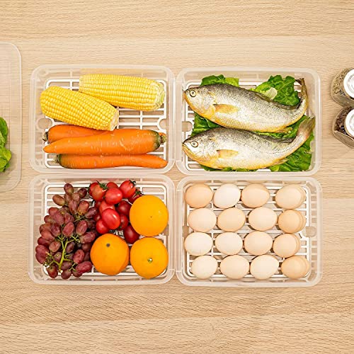 Claiez Fridge Storage Boxes Fridge