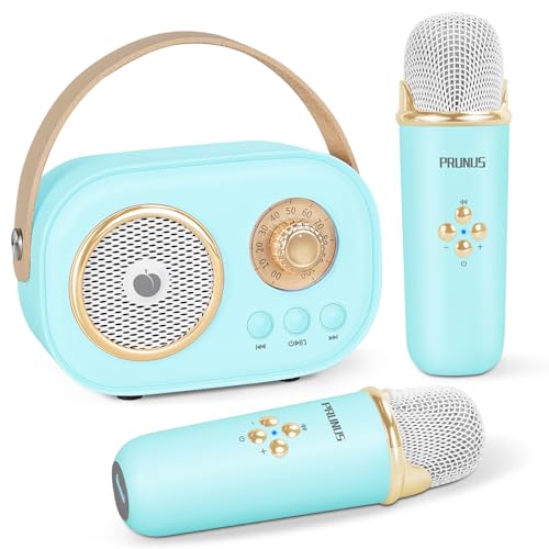 PRUNUS C20 Mini Karaoke Machine,Portable