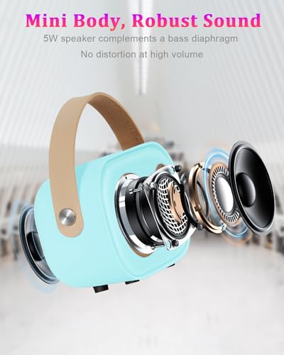 PRUNUS C20 Mini Karaoke Machine,Portable