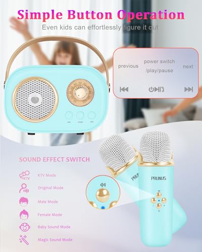 PRUNUS C20 Mini Karaoke Machine,Portable
