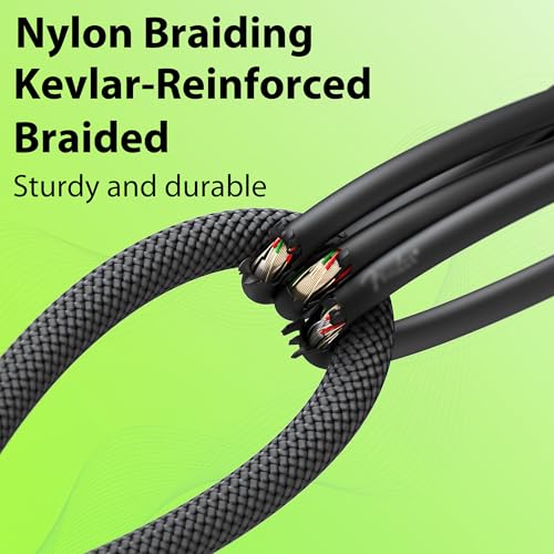Guitar Cable 10 ft 2