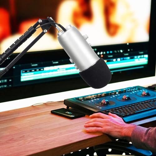 Foam Microphone Windscreen with Furry