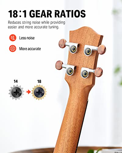 Donner Concert Ukulele Mahogany DUC-1