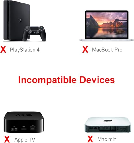 Len Bon Amis HDMI