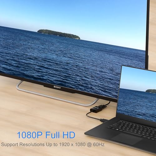 Len Bon Amis HDMI