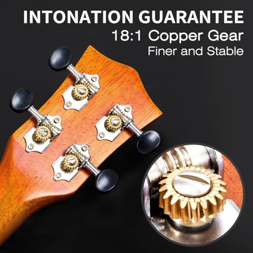 Ukulele Solid Mahogany 23 Inch