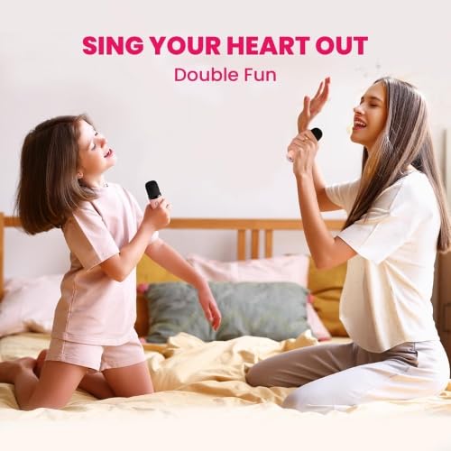 Mini Bluetooth Karaoke Machine –
