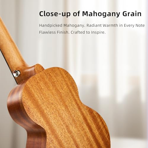 TOM 23" Solid Top Mahogany