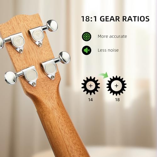 TOM 23" Solid Top Mahogany