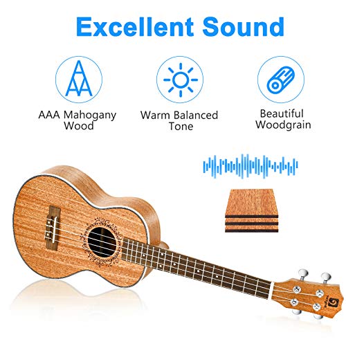 Ukulele Concert Mahogany Bundle 23