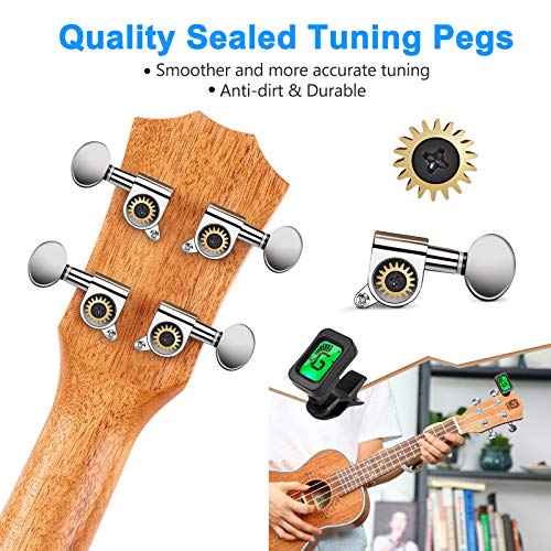 Ukulele Concert Mahogany Bundle 23