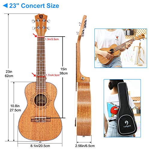Ukulele Concert Mahogany Bundle 23