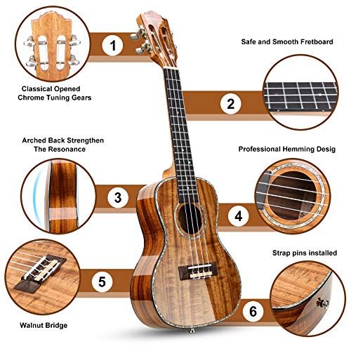 Professional Concert Ukulele 23 Inch