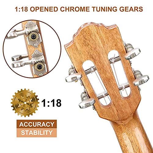 Professional Concert Ukulele 23 Inch