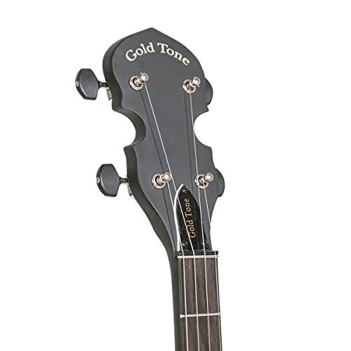 Gold Tone AC-1 Banjo