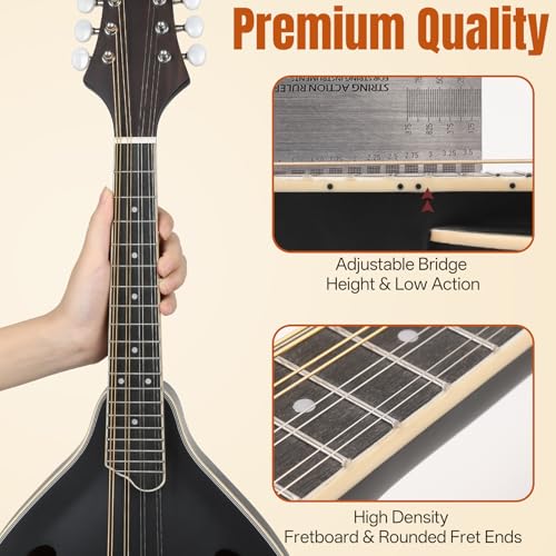 Mandolin Musical Instrument A Style