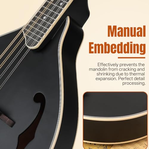 Mandolin Musical Instrument A Style