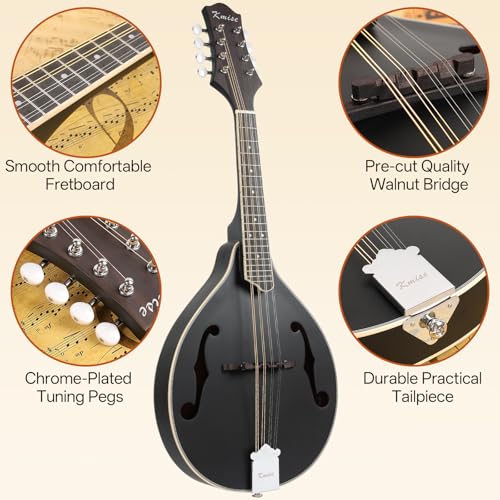 Mandolin Musical Instrument A Style