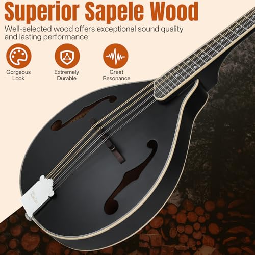 Mandolin Musical Instrument A Style