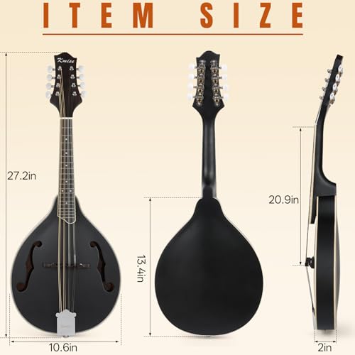Mandolin Musical Instrument A Style