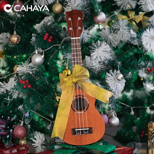 CAHAYA Ukulele Starter Kit Beginner