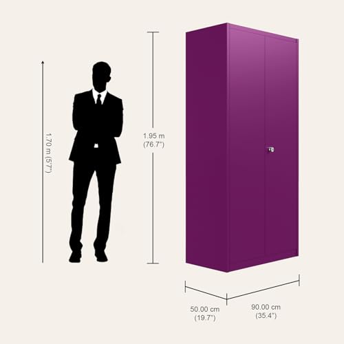 Interio by Godrej Marc 2-Door