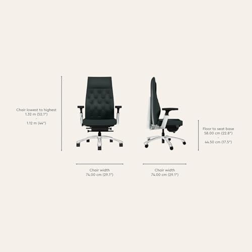 Interio by Godrej Posture Perfect