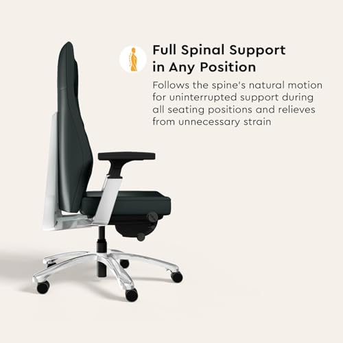 Interio by Godrej Posture Perfect
