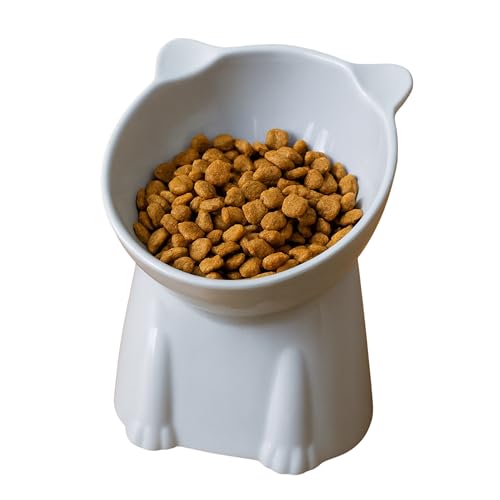 Foodie Puppies Pet Elevated Food