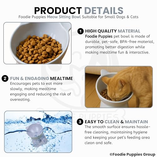 Foodie Puppies Pet Elevated Food