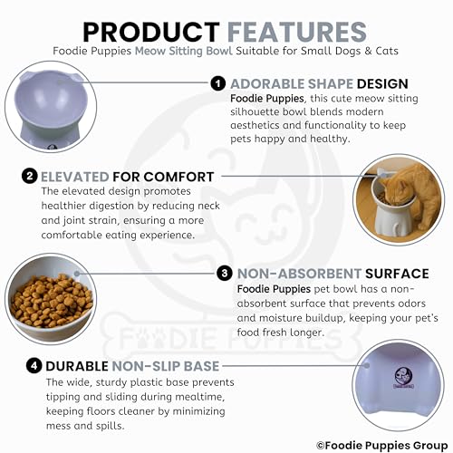 Foodie Puppies Pet Elevated Food