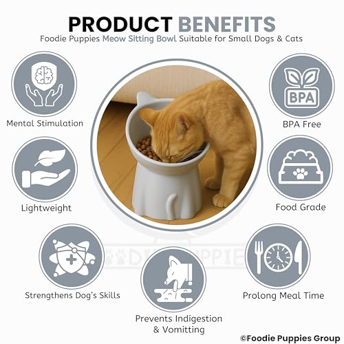 Foodie Puppies Pet Elevated Food