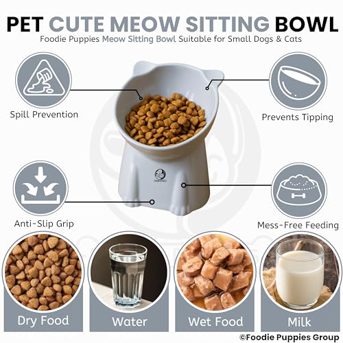 Foodie Puppies Pet Elevated Food
